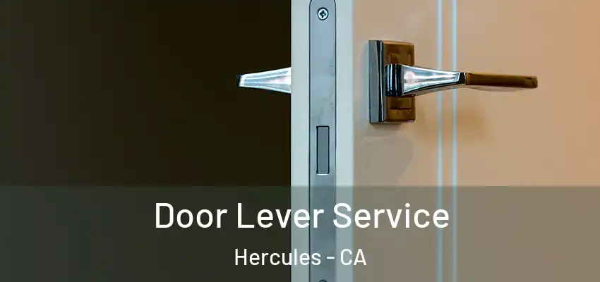  Door Lever Service Hercules - CA